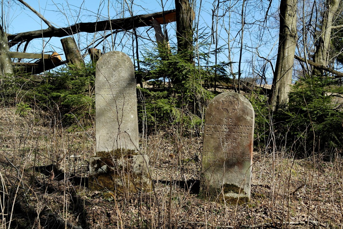 Moldoviţa - Jewish cemetery
