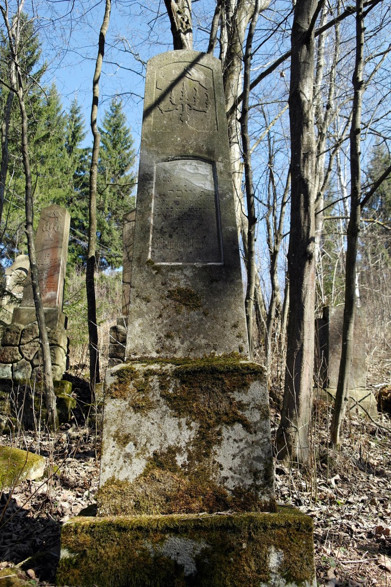 Moldoviţa - Jewish cemetery