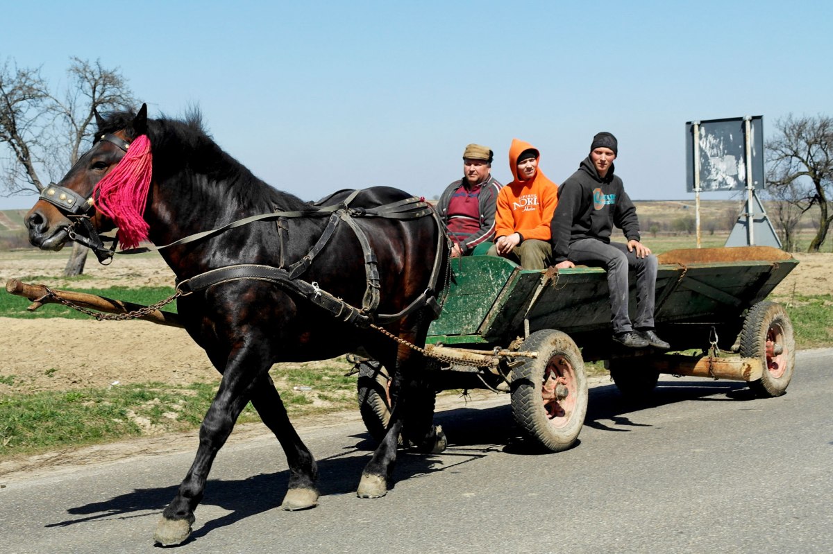 Solca - horse-drawn cart