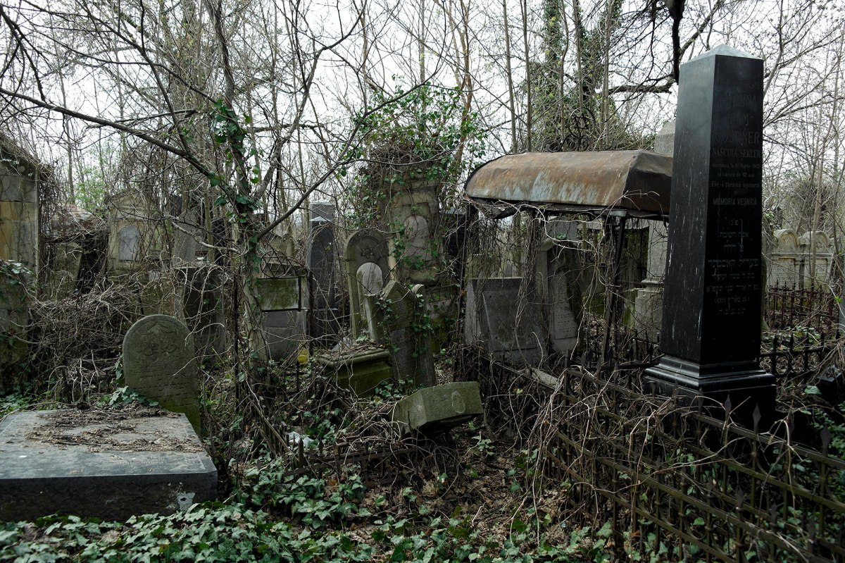 Botoșani - New Jewish Cemetery