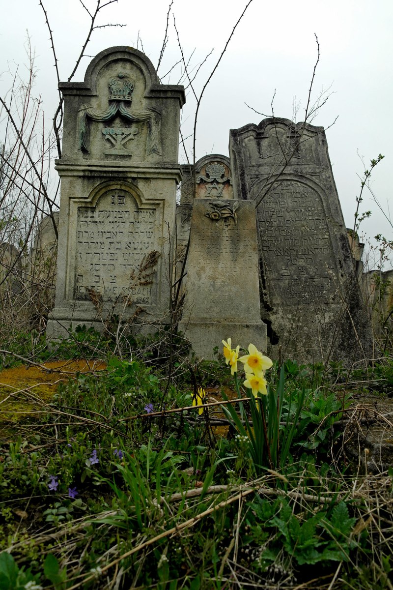 Czernowitz Jewish cemetery