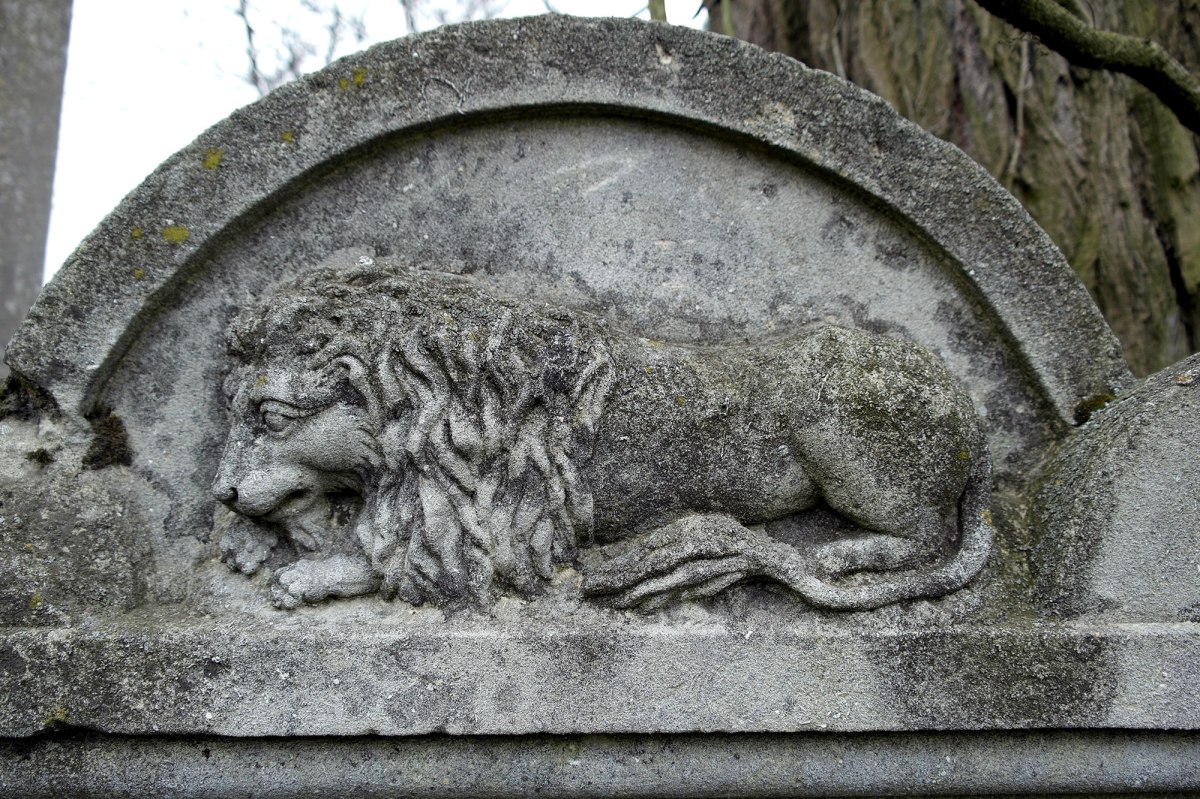 Czernowitz Jewish cemetery