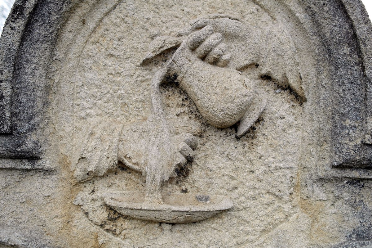 Czernowitz Jewish cemetery