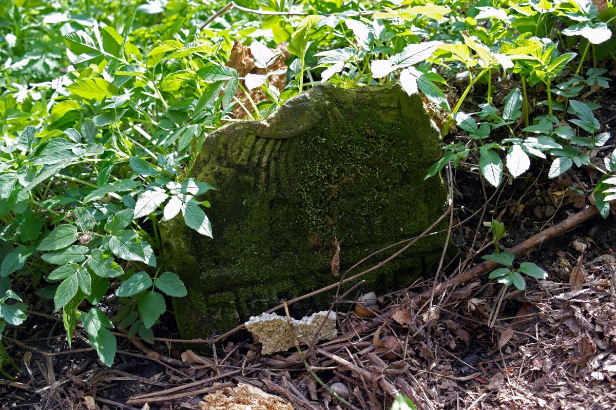 Czernowitz Old Jewish Cemetery