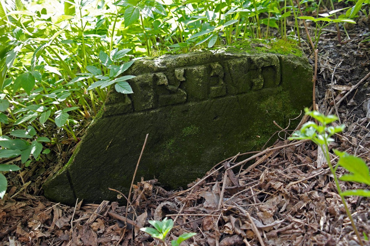 Czernowitz Old Jewish Cemetery