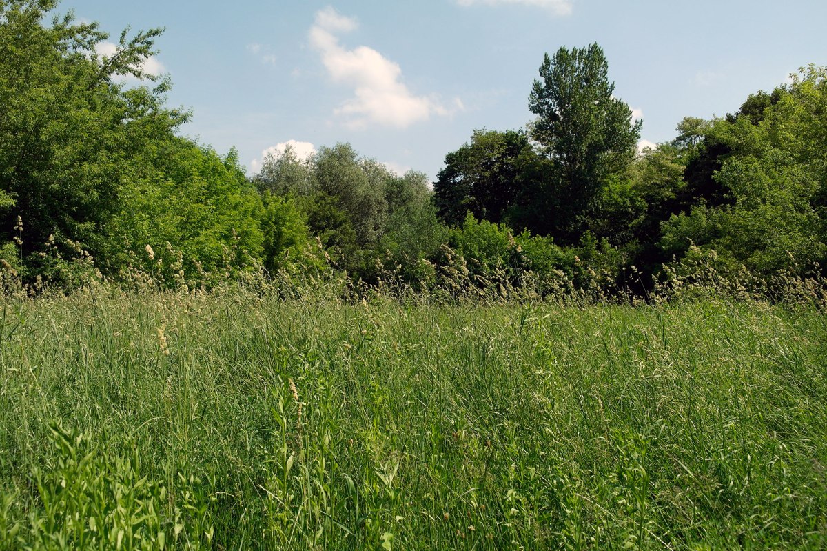Janowska Road concentration camp site - execution ground