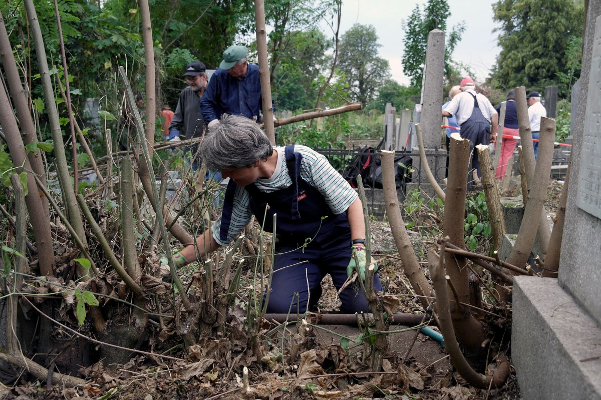 Volunteers of Action Reconciliation clearing the Jewish cemetery of Czernowitz