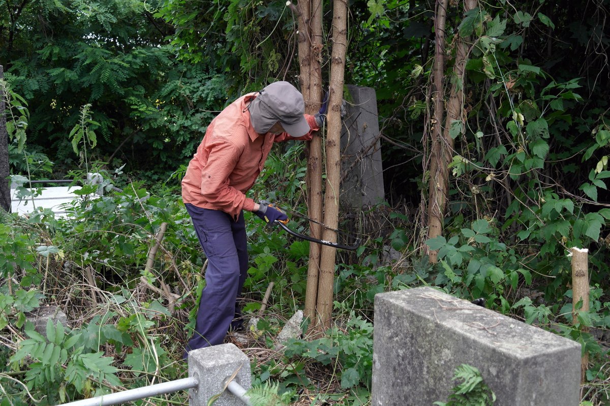 Volunteers of Action Reconciliation clearing the Jewish cemetery of Czernowitz
