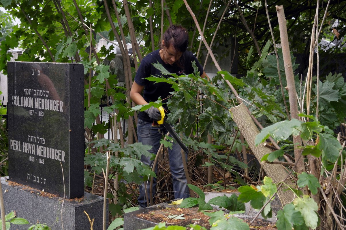 Volunteers of SVIT Ukraine clearing the Jewish cemetery of Czernowitz