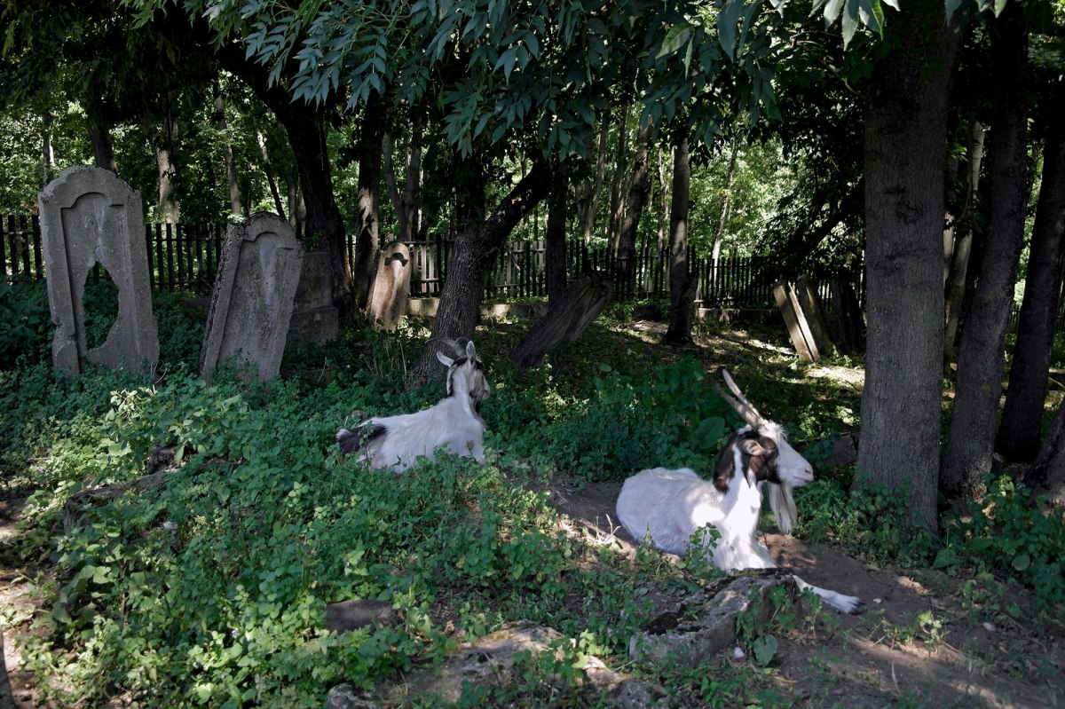 Horodenka Jewish Cemetery