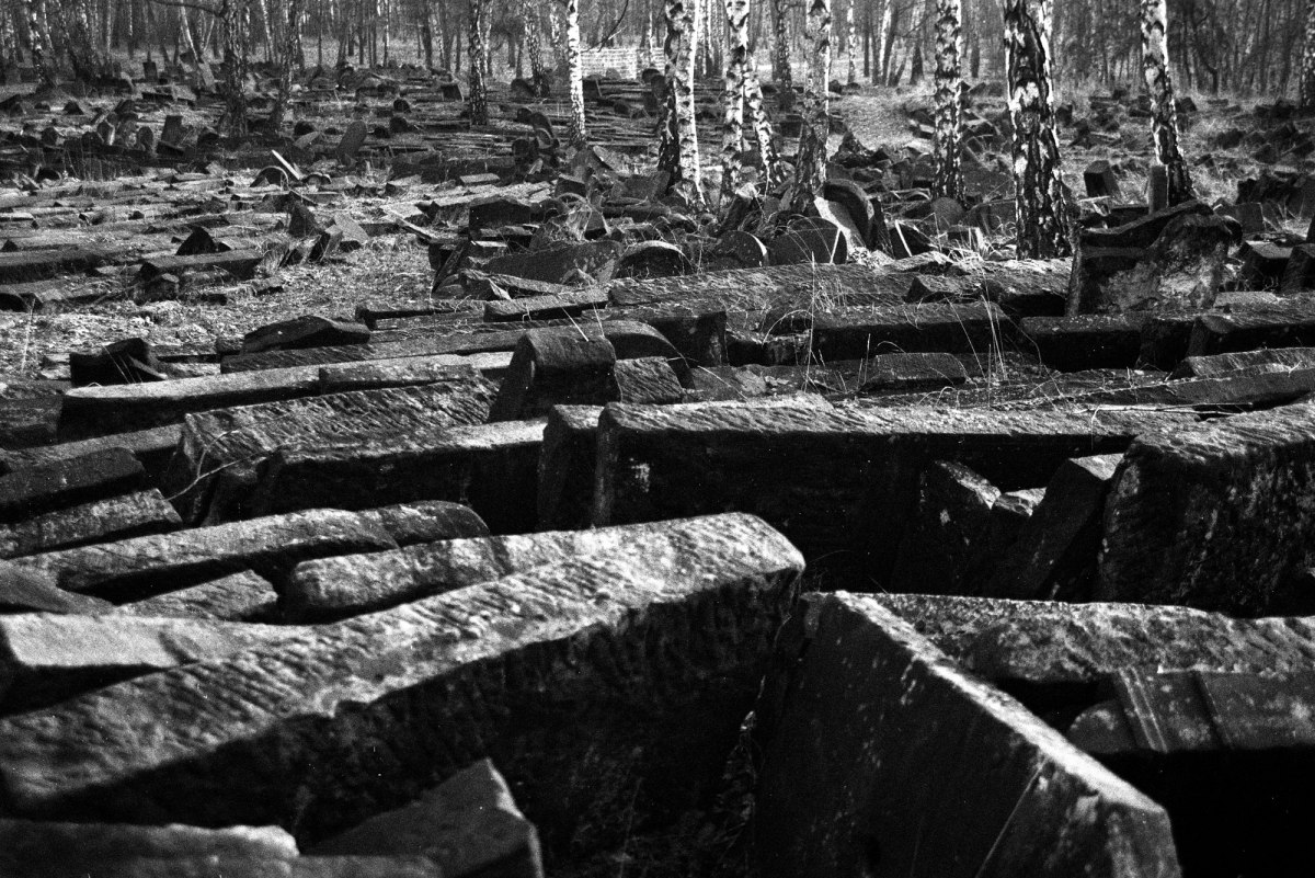 Brodno Jewish cemetery