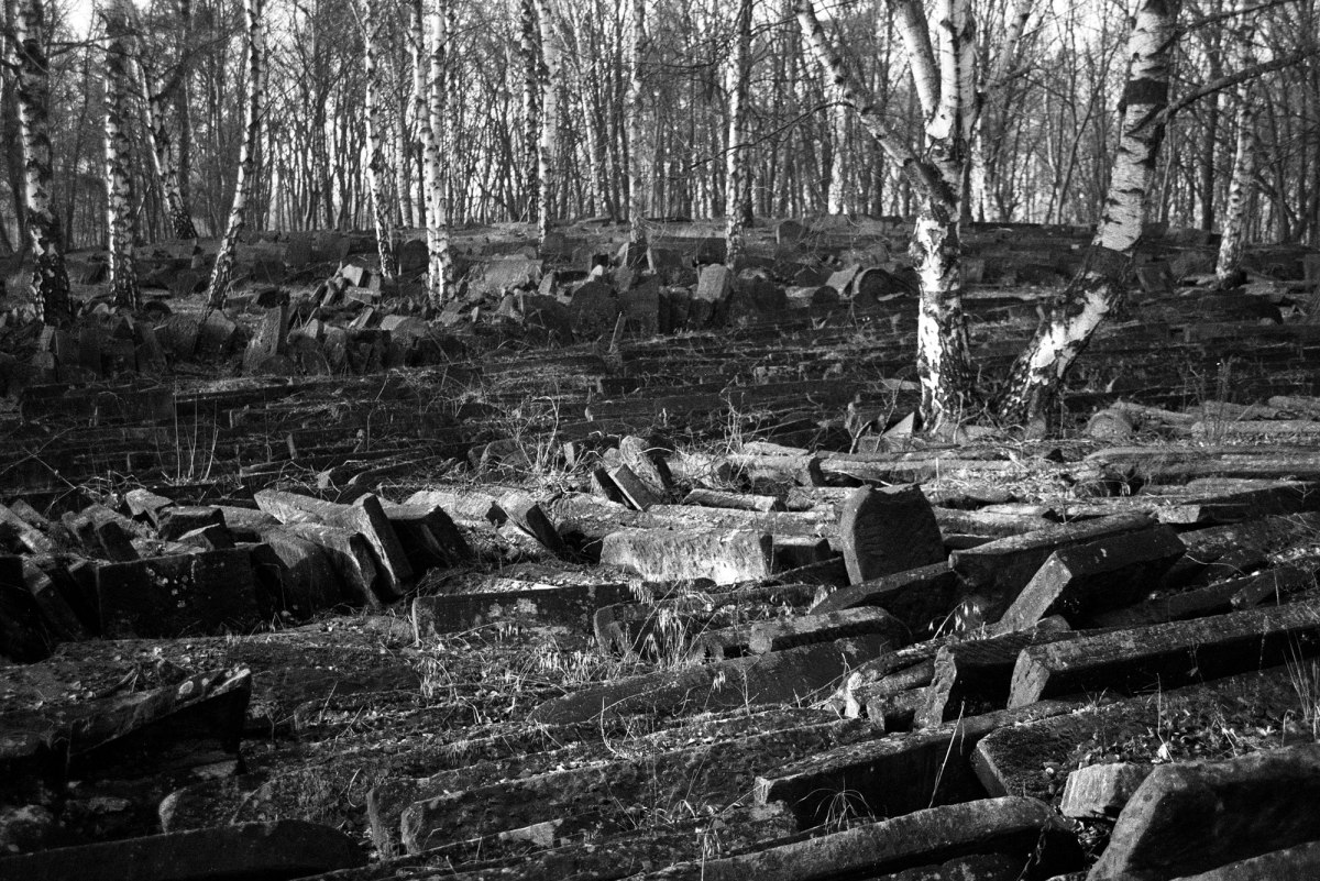 Brodno Jewish cemetery