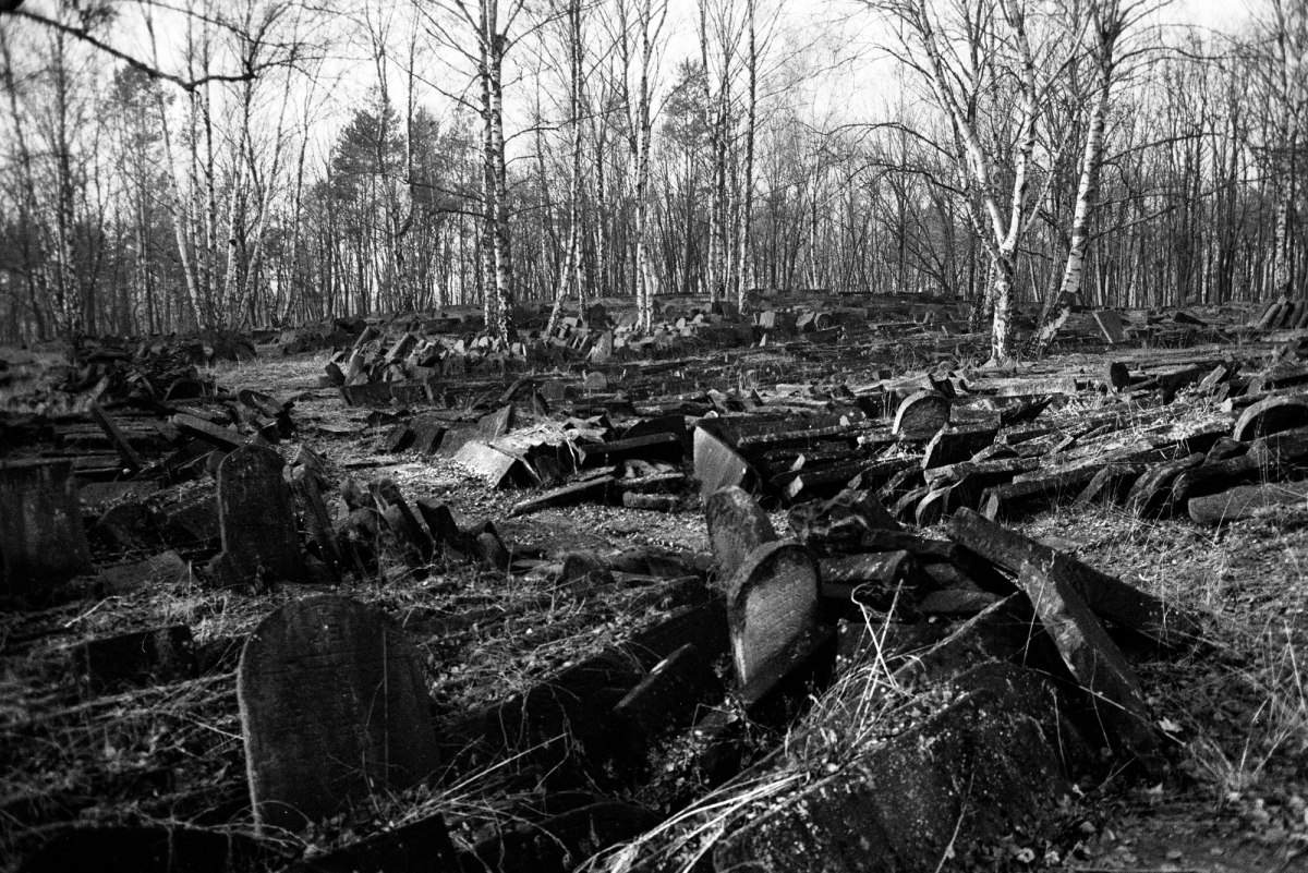 Brodno Jewish cemetery
