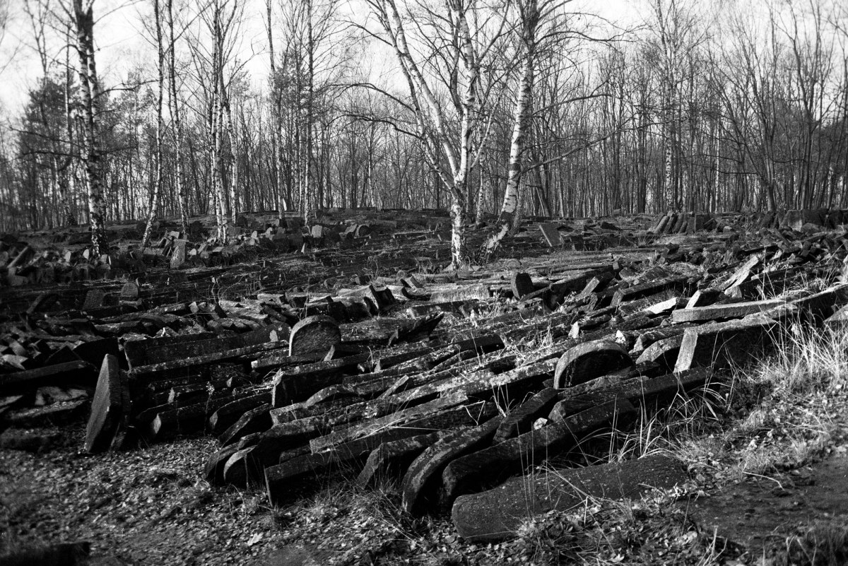 Brodno Jewish cemetery