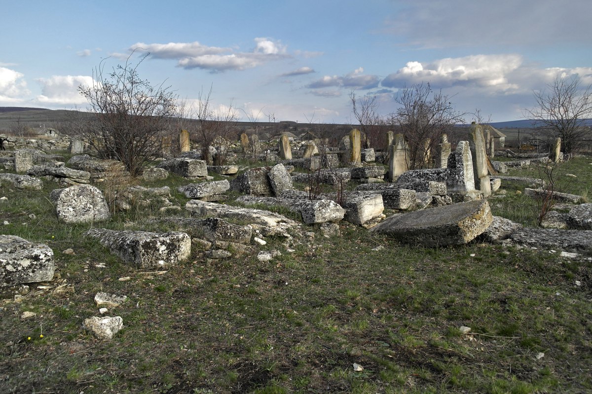 Prodănești - Jewish cemetery