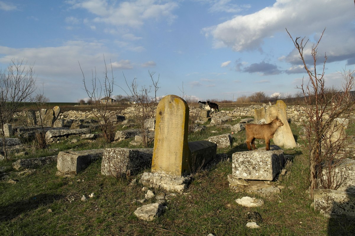 Prodănești - Jewish cemetery