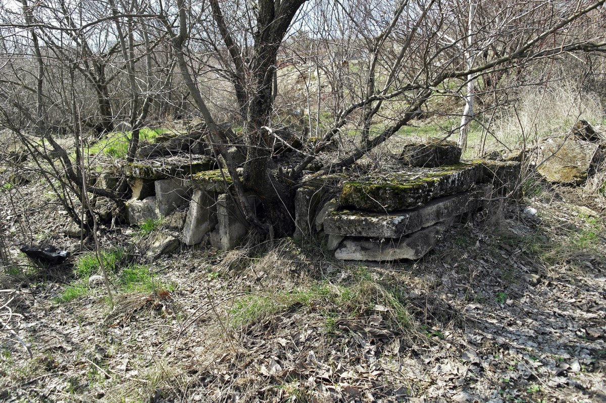 Rezina - Jewish cemetery