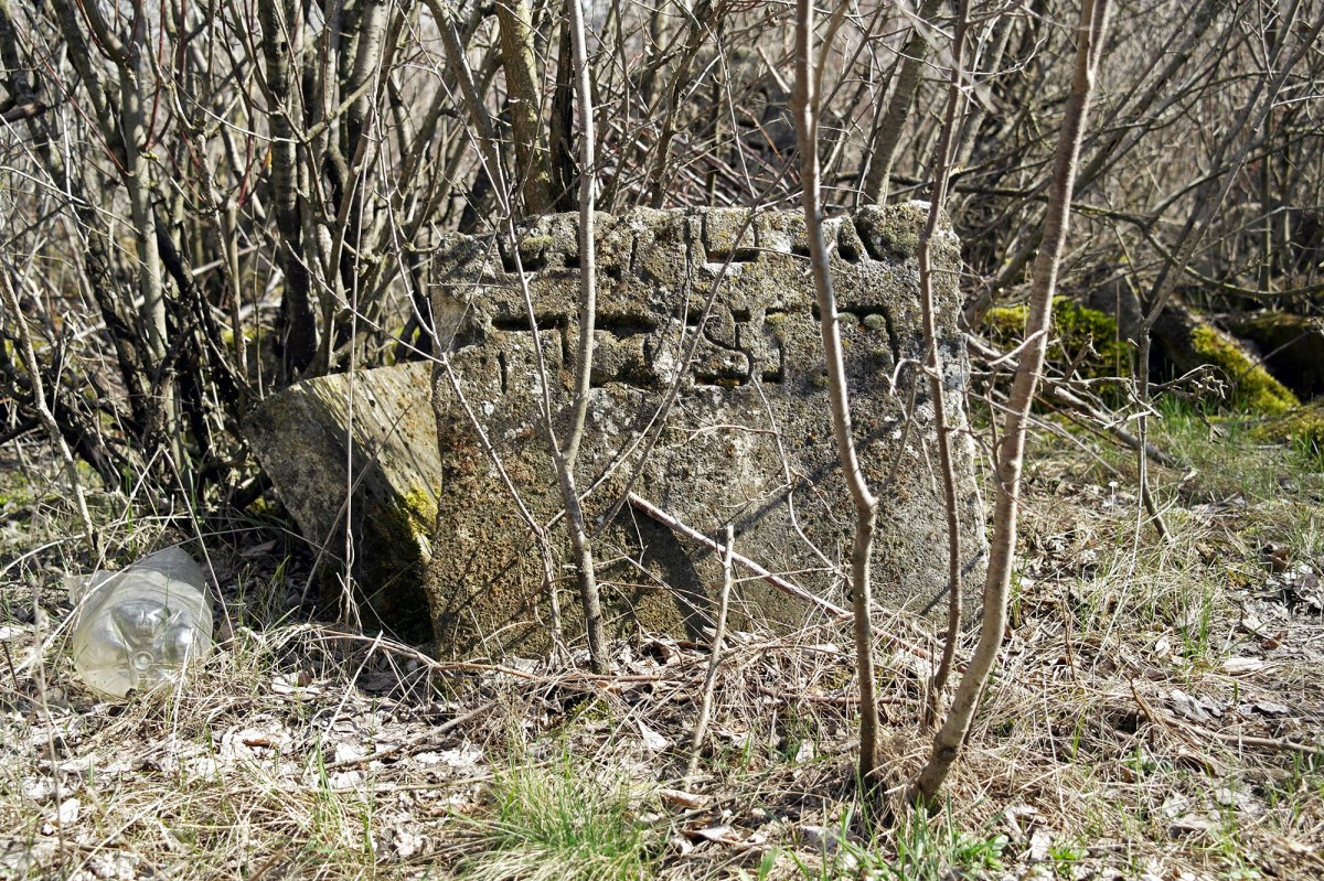 Rezina - Jewish cemetery