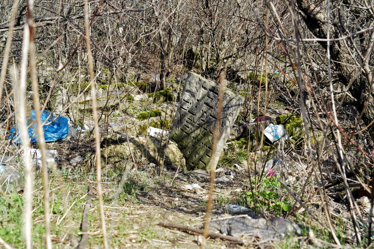 Rezina - Jewish cemetery