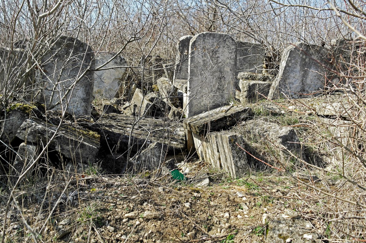 Rezina - Jewish cemetery