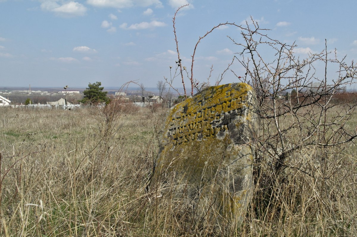 Soroca - Jewish cemetery