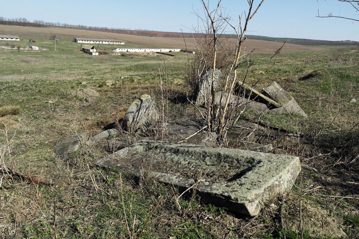 Zguriţa - Jewish cemetery