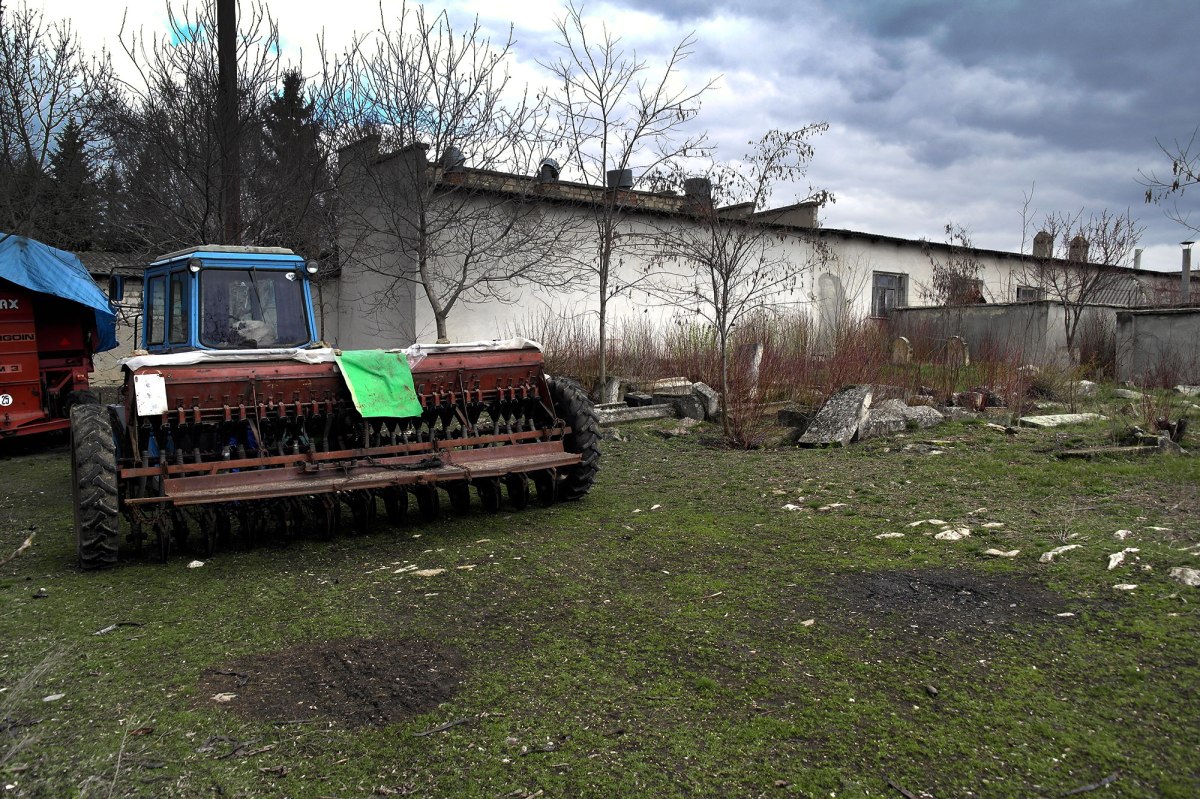 Alexandreni - Jewish cemetery