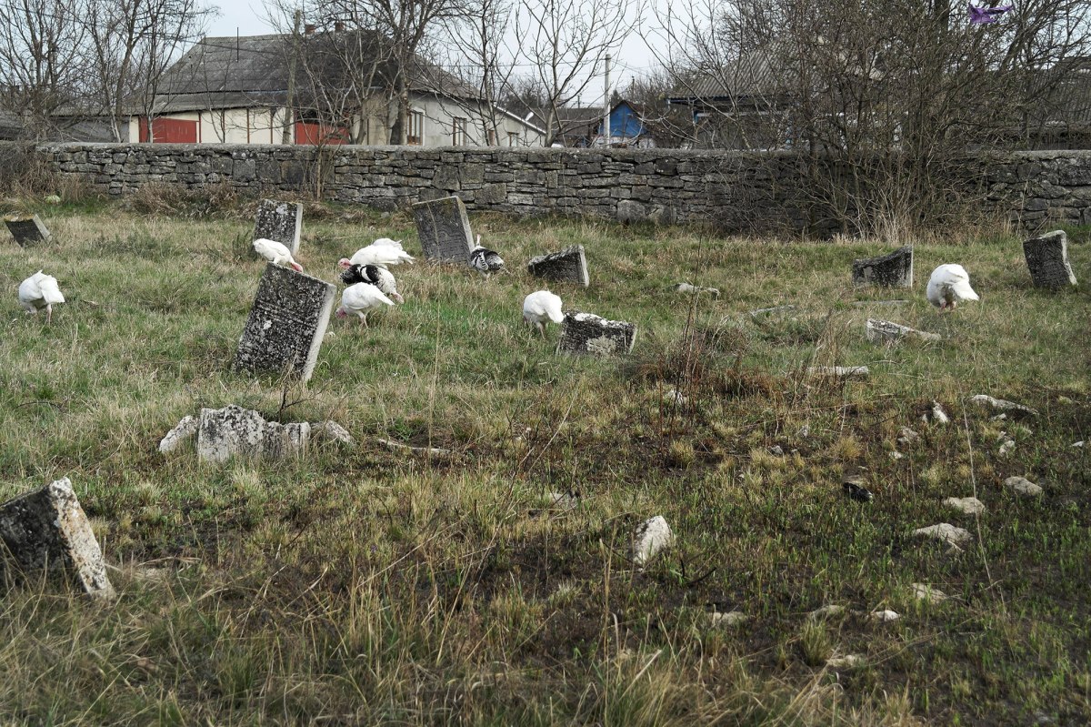 Lipcani - Jewish cemetery