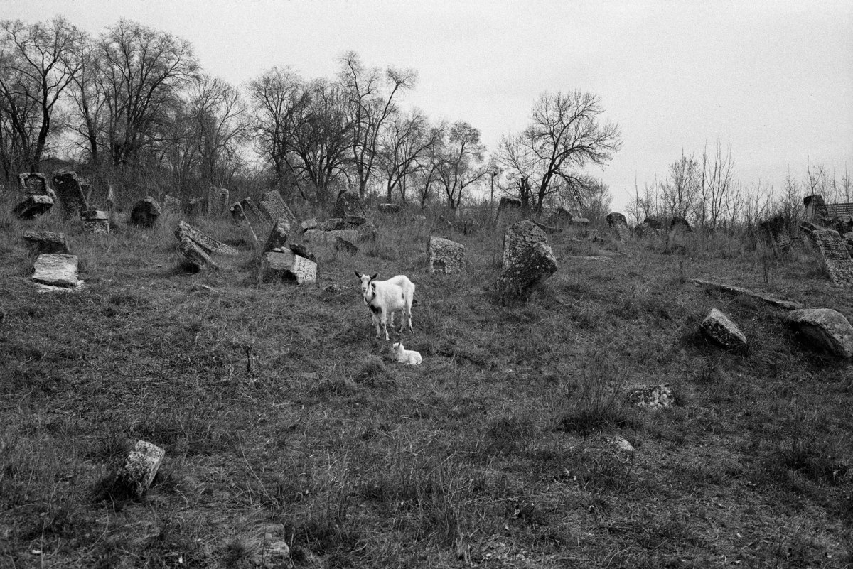 Orhei Jewish cemetery
