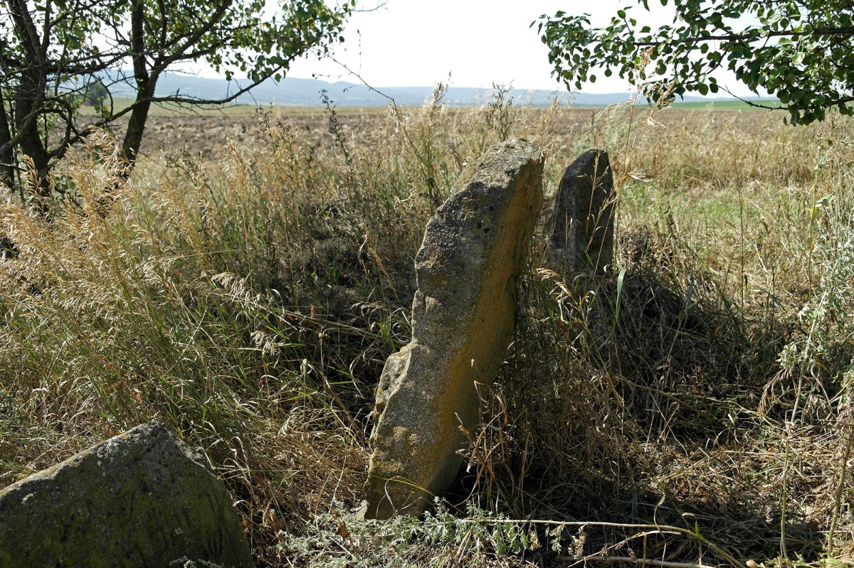 Balamutivka Jewish cemetery