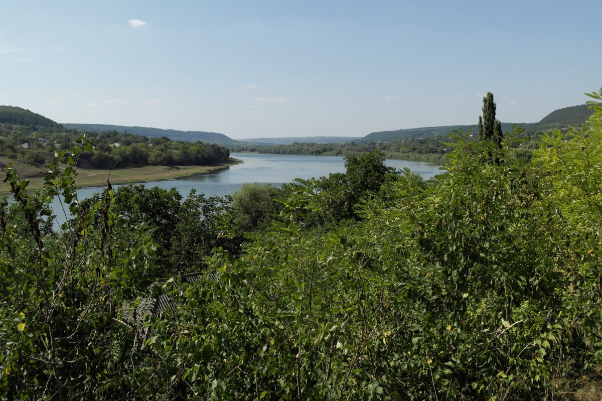 Raşcov (Rashkov) - view towards river Dniester