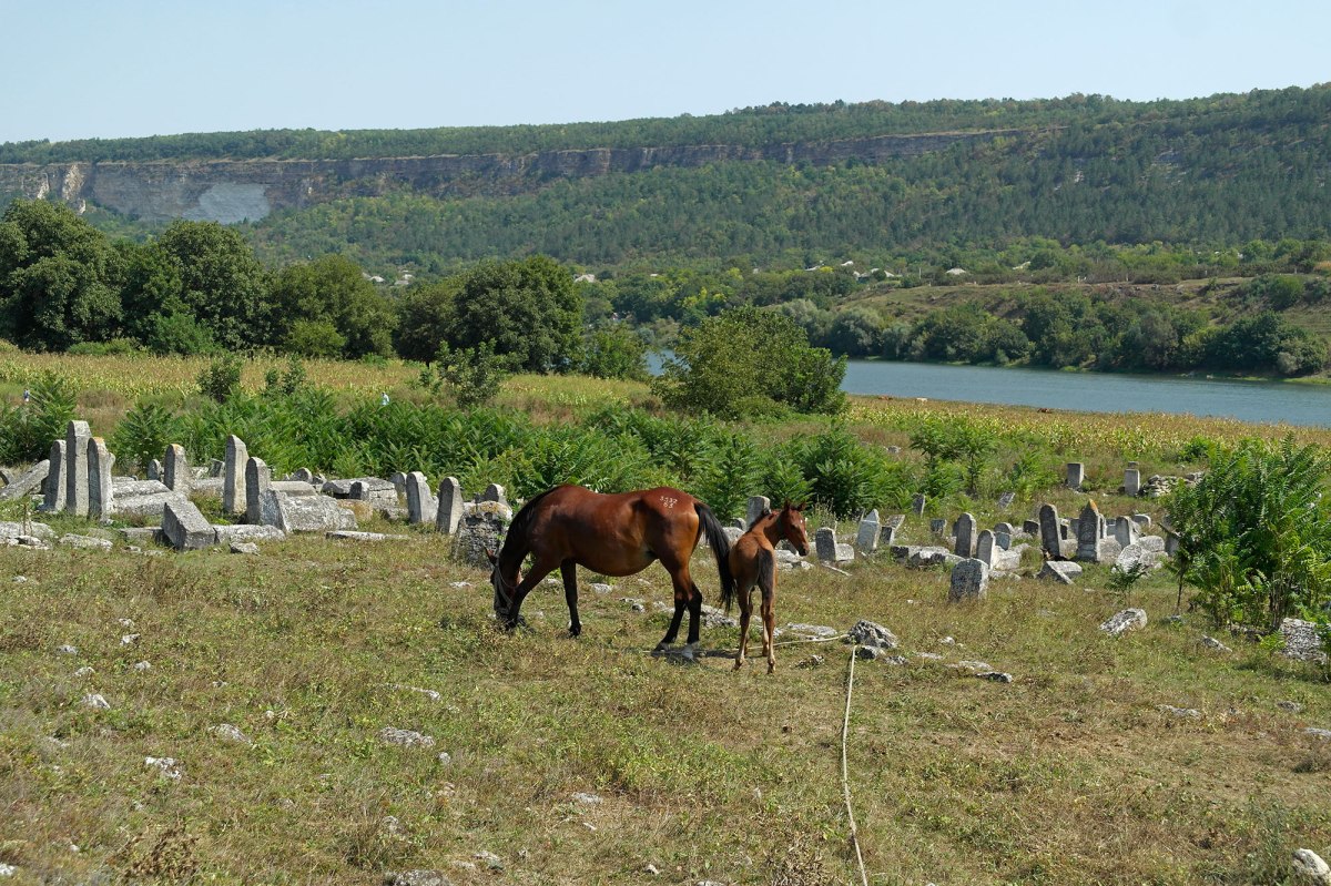 Vadul Raşcov - Jewish cemetery