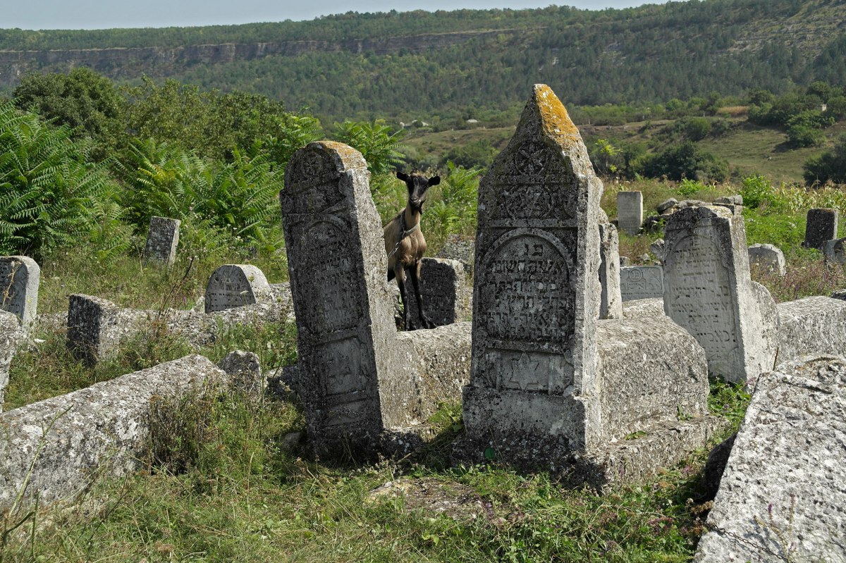 Vadul Raşcov - Jewish cemetery