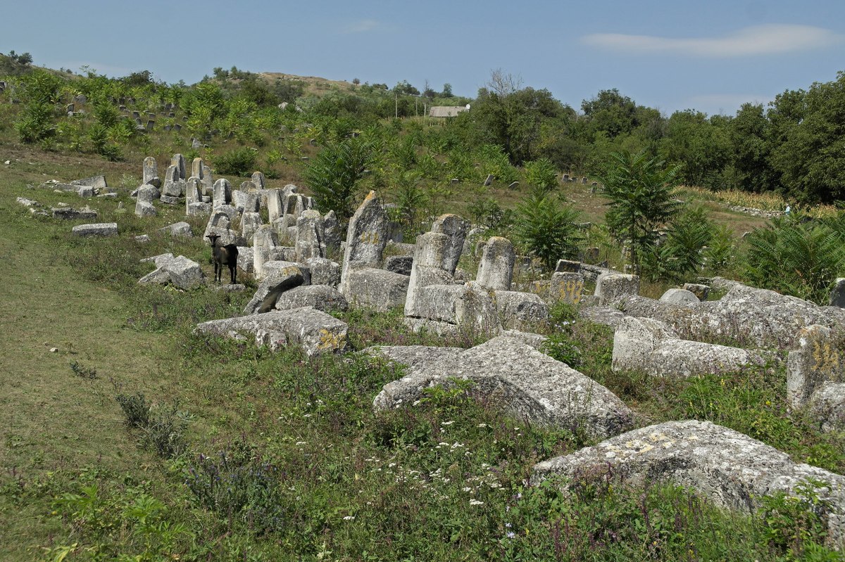 Vadul Raşcov - Jewish cemetery