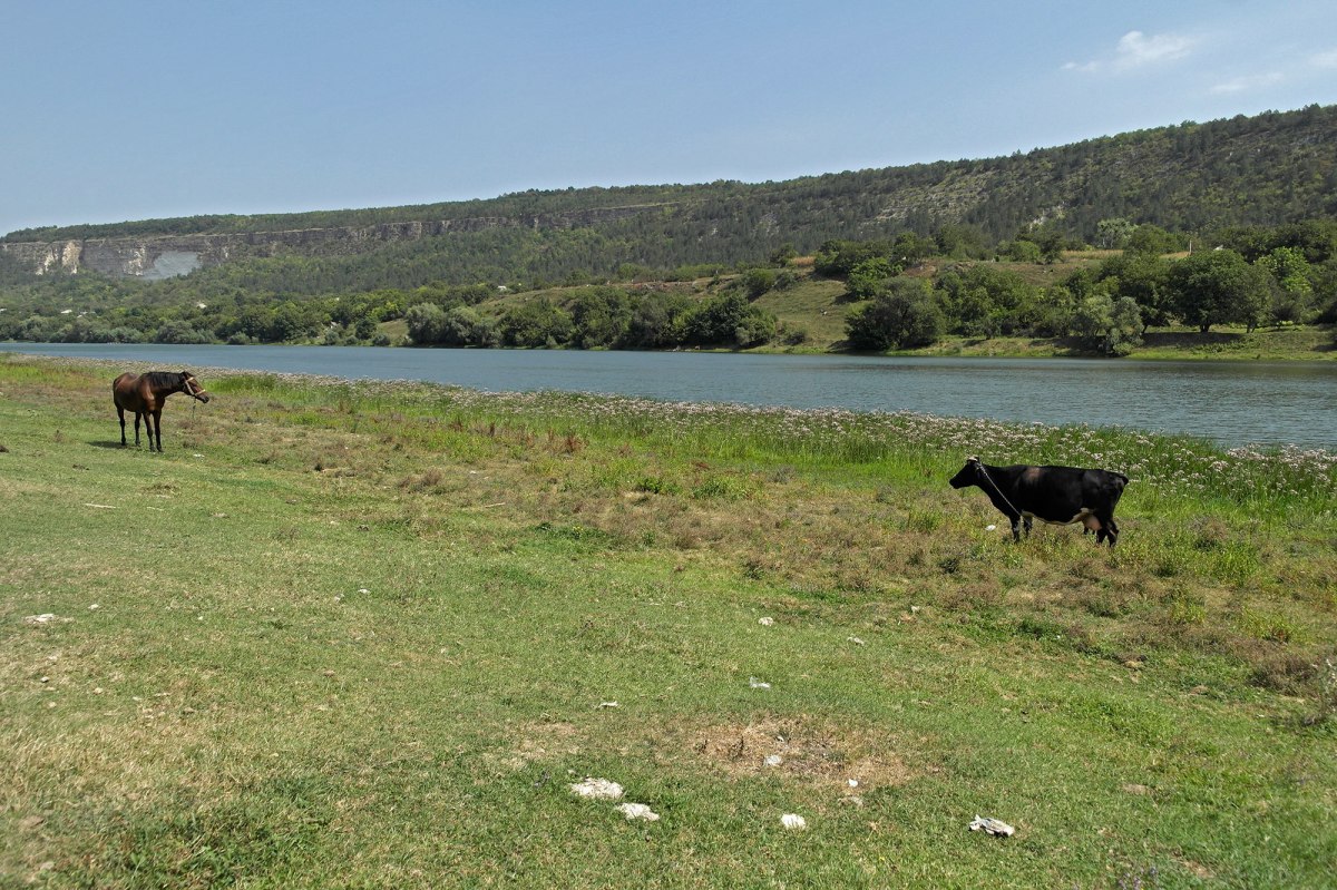 Vadul Raşcov - banks of river Dniester next to the Jewish cemetery