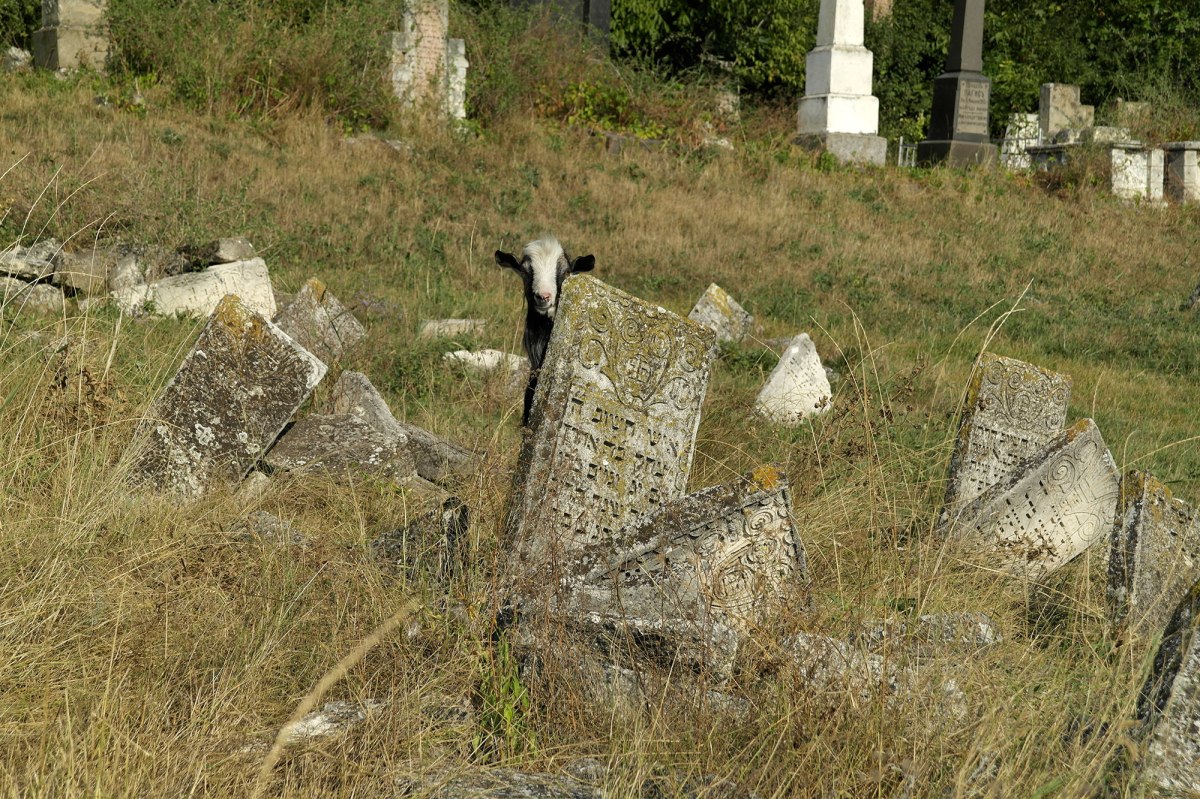 Orhei - Jewish cemetery