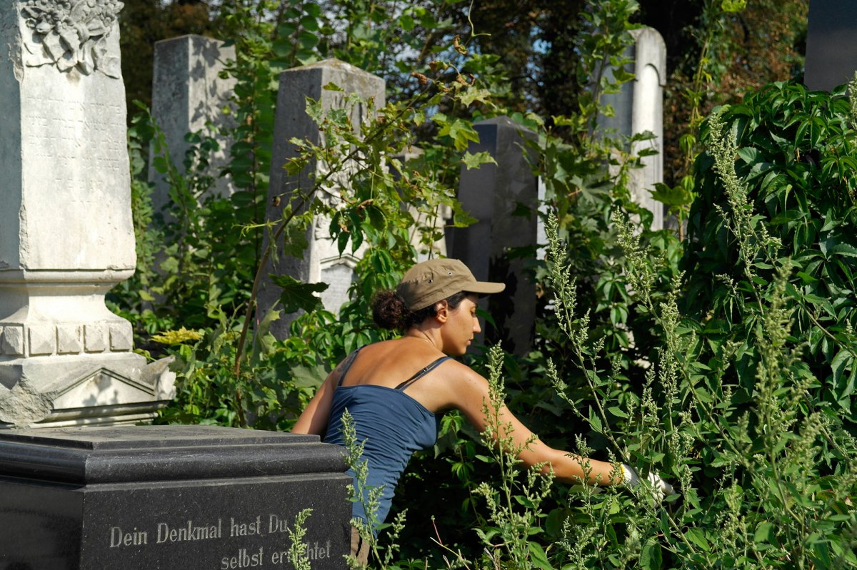 Volunteers working in the Jewish cemetery of Chernivtsi (Czernowitz)