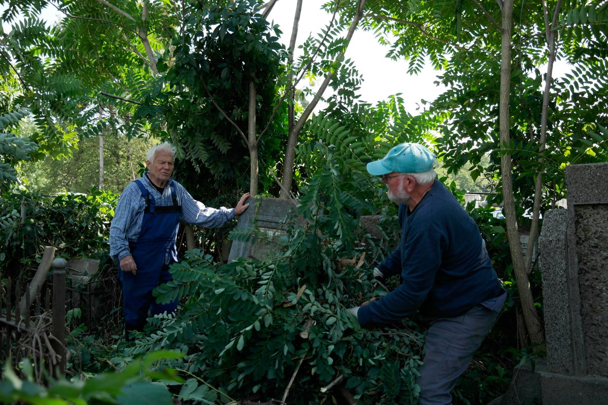 Volunteers working in the Jewish cemetery of Chernivtsi (Czernowitz)