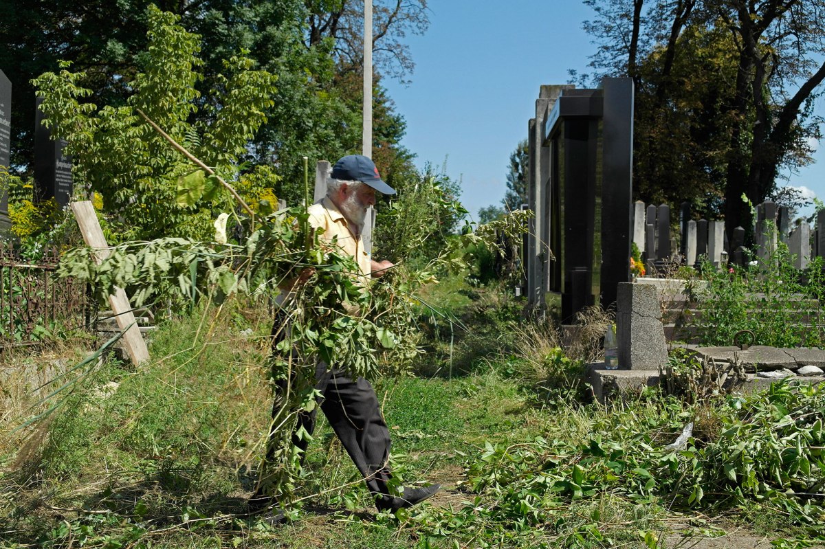 Volunteers working in the Jewish cemetery of Chernivtsi (Czernowitz)