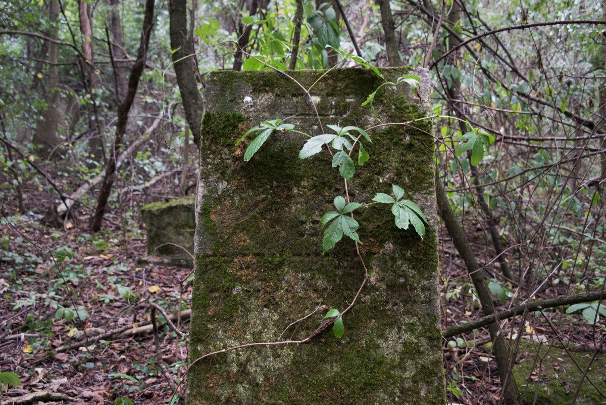 Sniatyn Jewish cemetery, Ukraine
