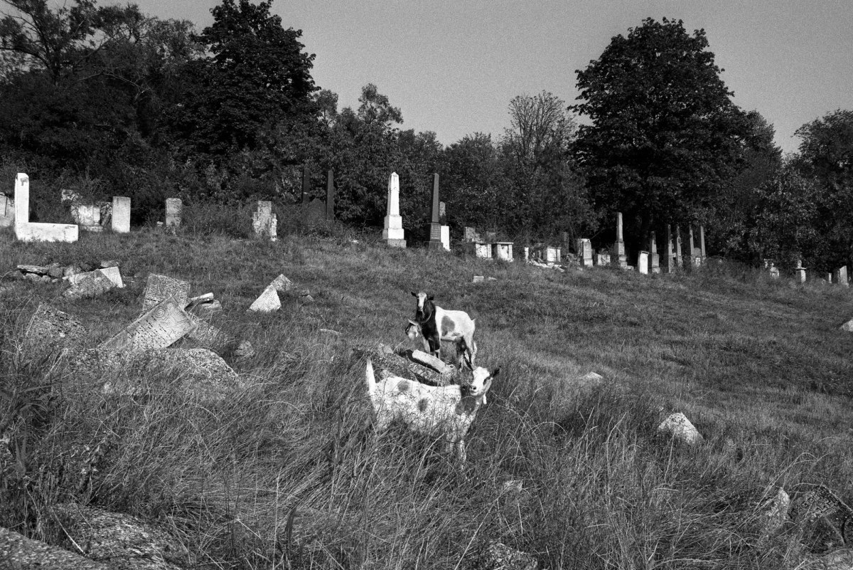 Orhei Jewish cemetery