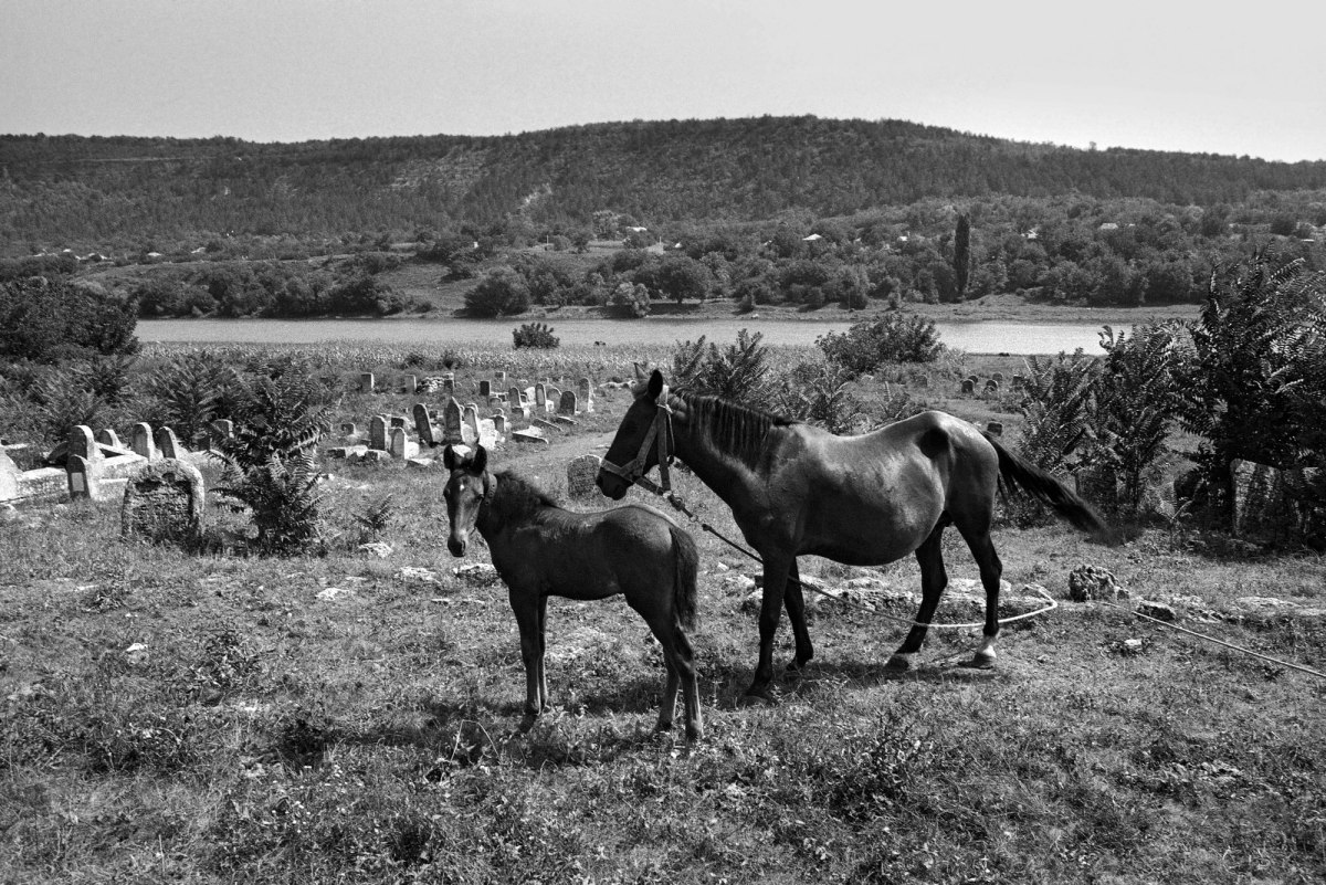 Vadul-Raşcov Jewish cemetery