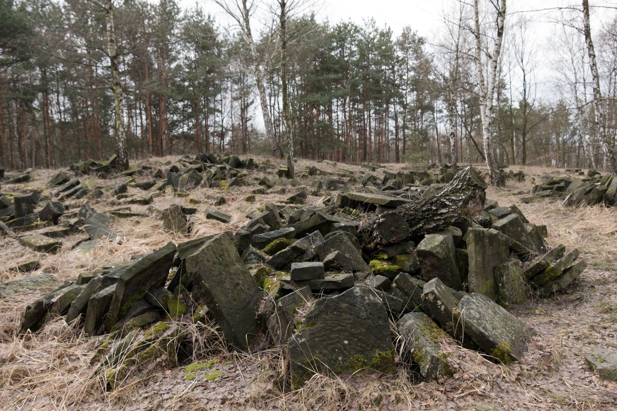 Bródno Jewish cemetery, Warsaw