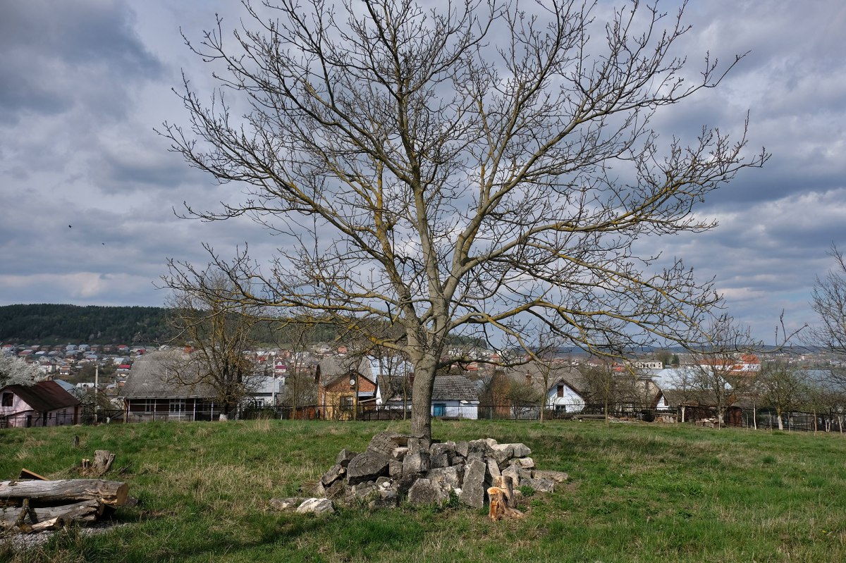 Berezhany Jewish cemetery