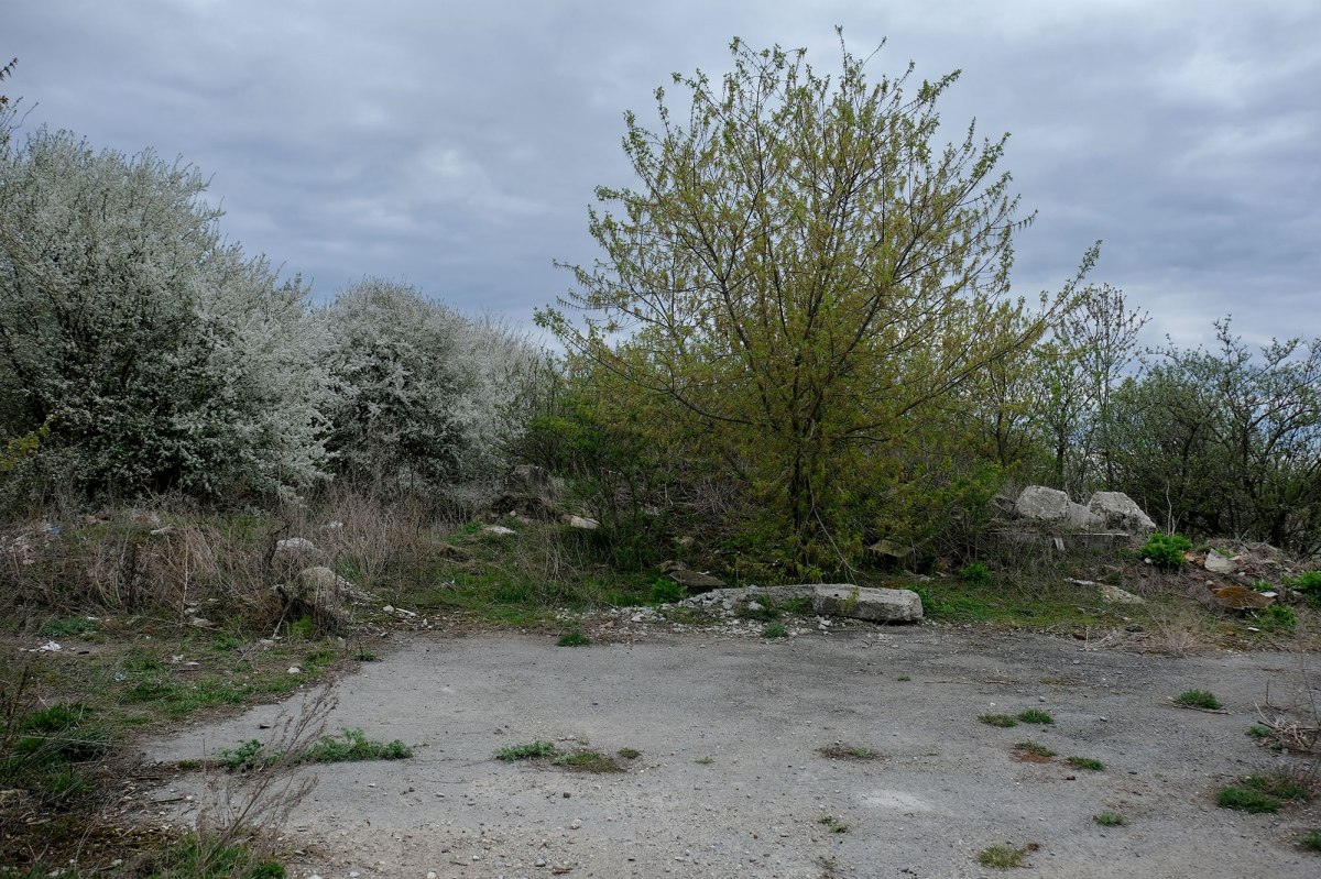 Chabarivka - former collective farm "Communist"