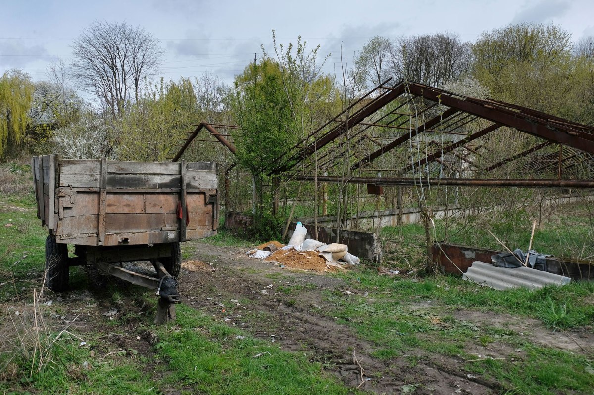 Rohatyn - mass grave site
