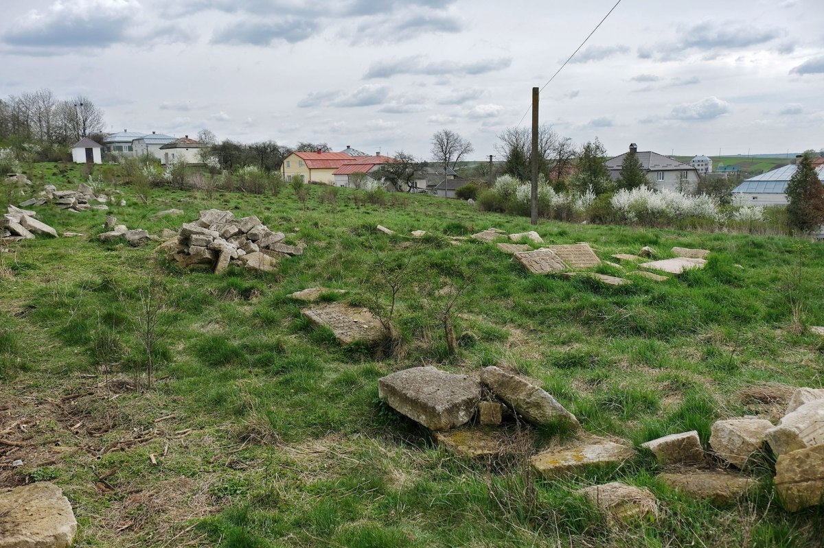 Rohatyn - old Jewish cemetery