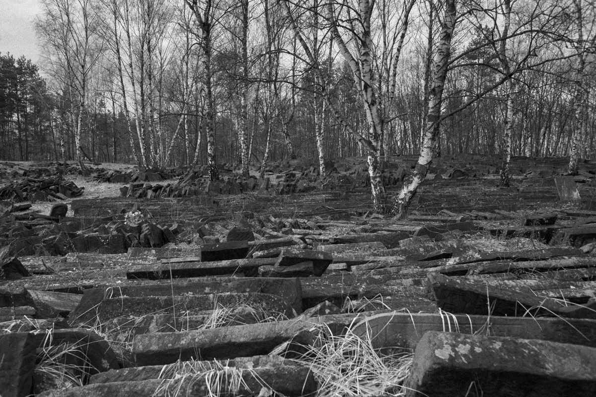 Bródno Jewish cemetery, Warsaw