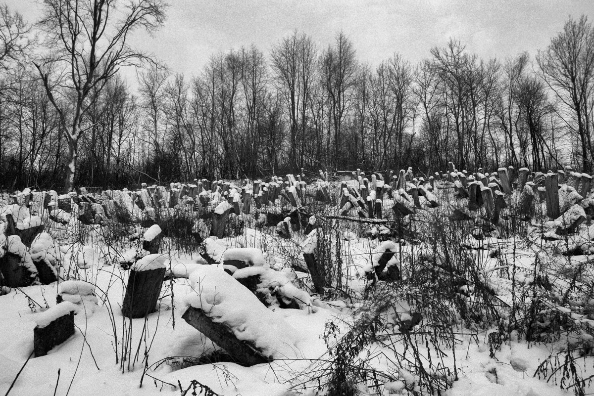 Shchyrets Jewish cemetery, Galicia, Ukraine