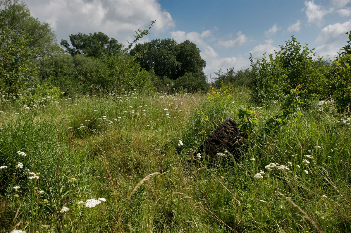 Lysets Jewish cemetery
